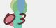 securitycode