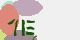 securitycode