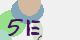 securitycode