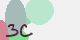 securitycode
