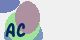 securitycode
