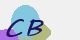 securitycode