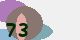 securitycode