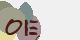 securitycode