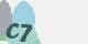 securitycode