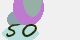 securitycode