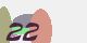 securitycode