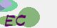 securitycode