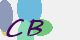 securitycode