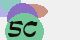 securitycode