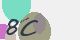securitycode