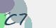 securitycode