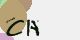 securitycode