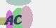 securitycode