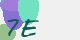 securitycode