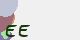 securitycode
