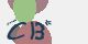 securitycode