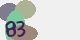 securitycode