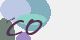 securitycode