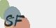 securitycode