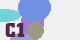 securitycode