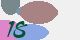 securitycode