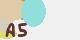 securitycode