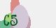 securitycode