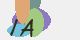 securitycode