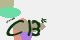 securitycode