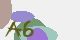 securitycode