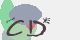 securitycode