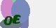 securitycode