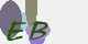 securitycode