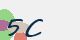 securitycode