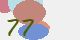 securitycode