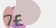 securitycode
