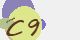 securitycode
