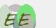 securitycode