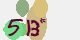 securitycode
