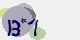 securitycode