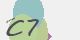 securitycode