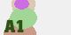 securitycode