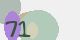 securitycode