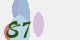 securitycode