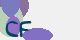 securitycode