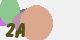 securitycode
