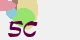 securitycode