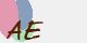 securitycode