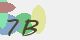 securitycode